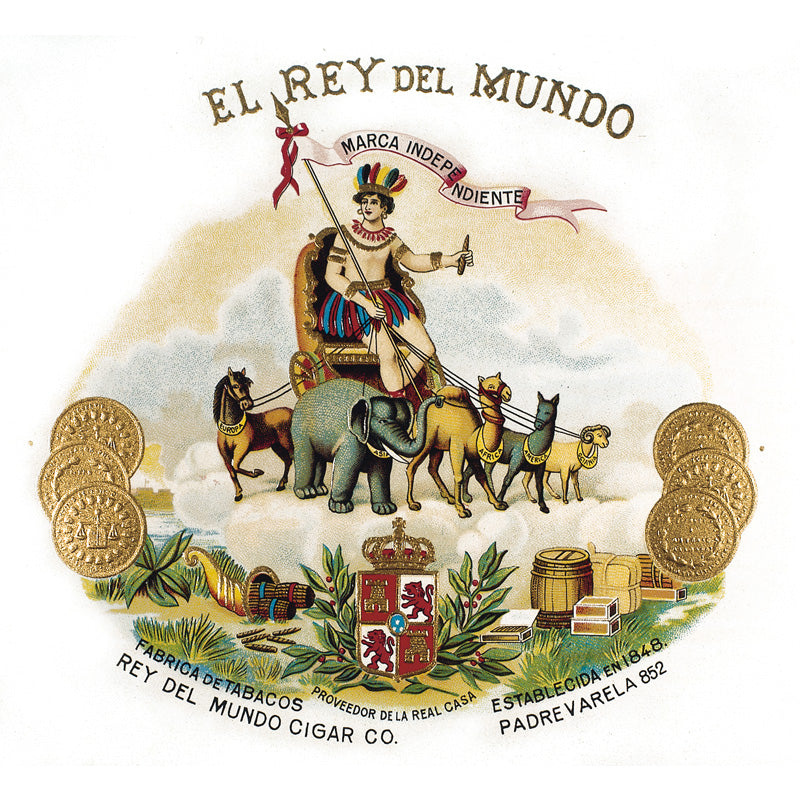 EL REY DEL MUNDO