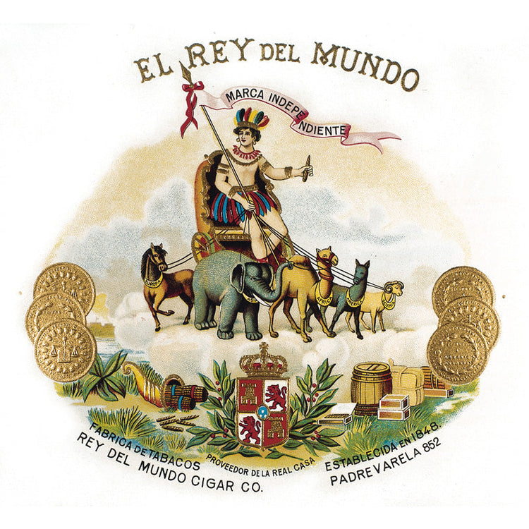 EL REY DEL MUNDO