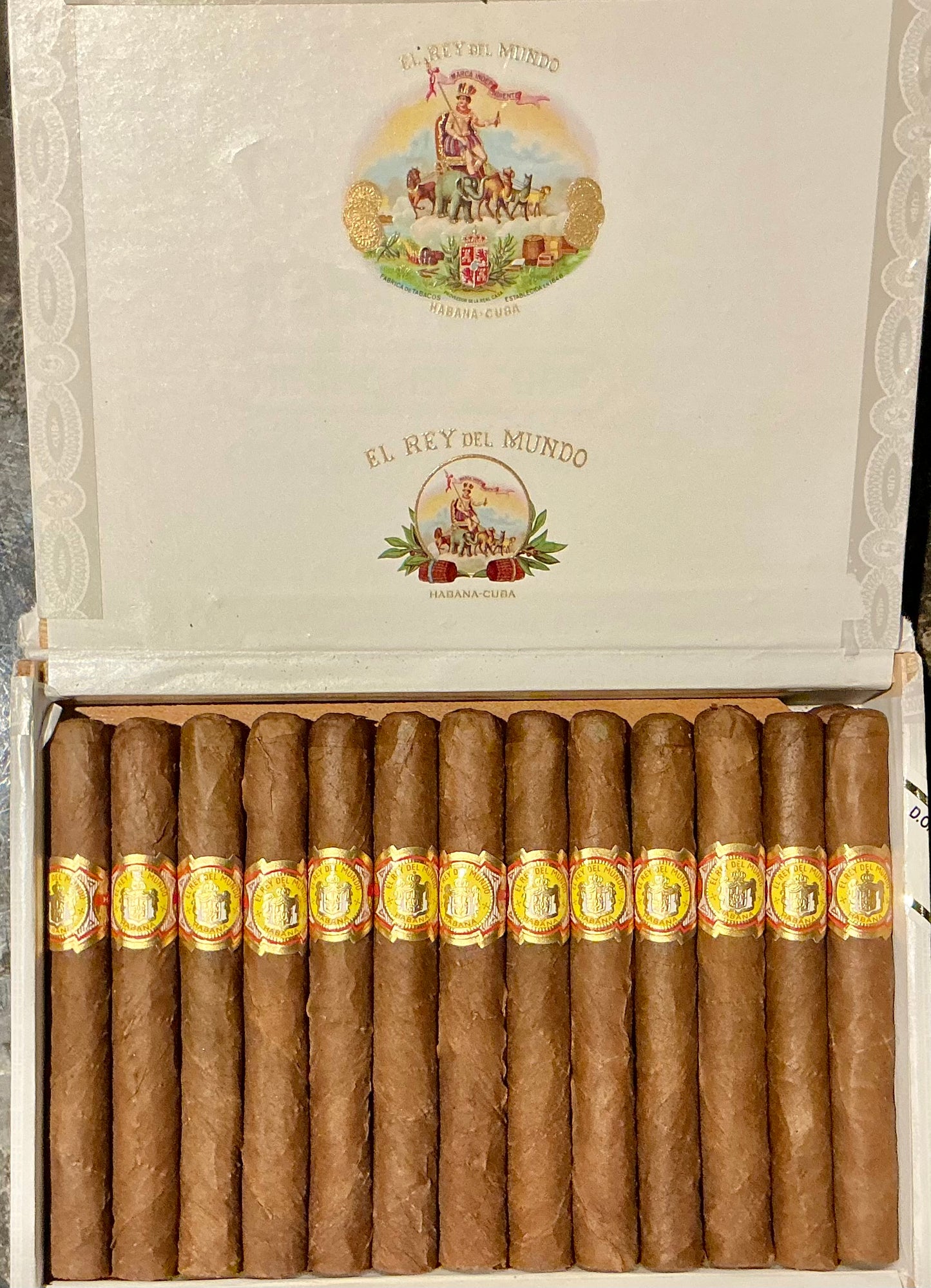 EL REY DEL MUNDO DEMI TASSE[レイデルムンド デミタス]