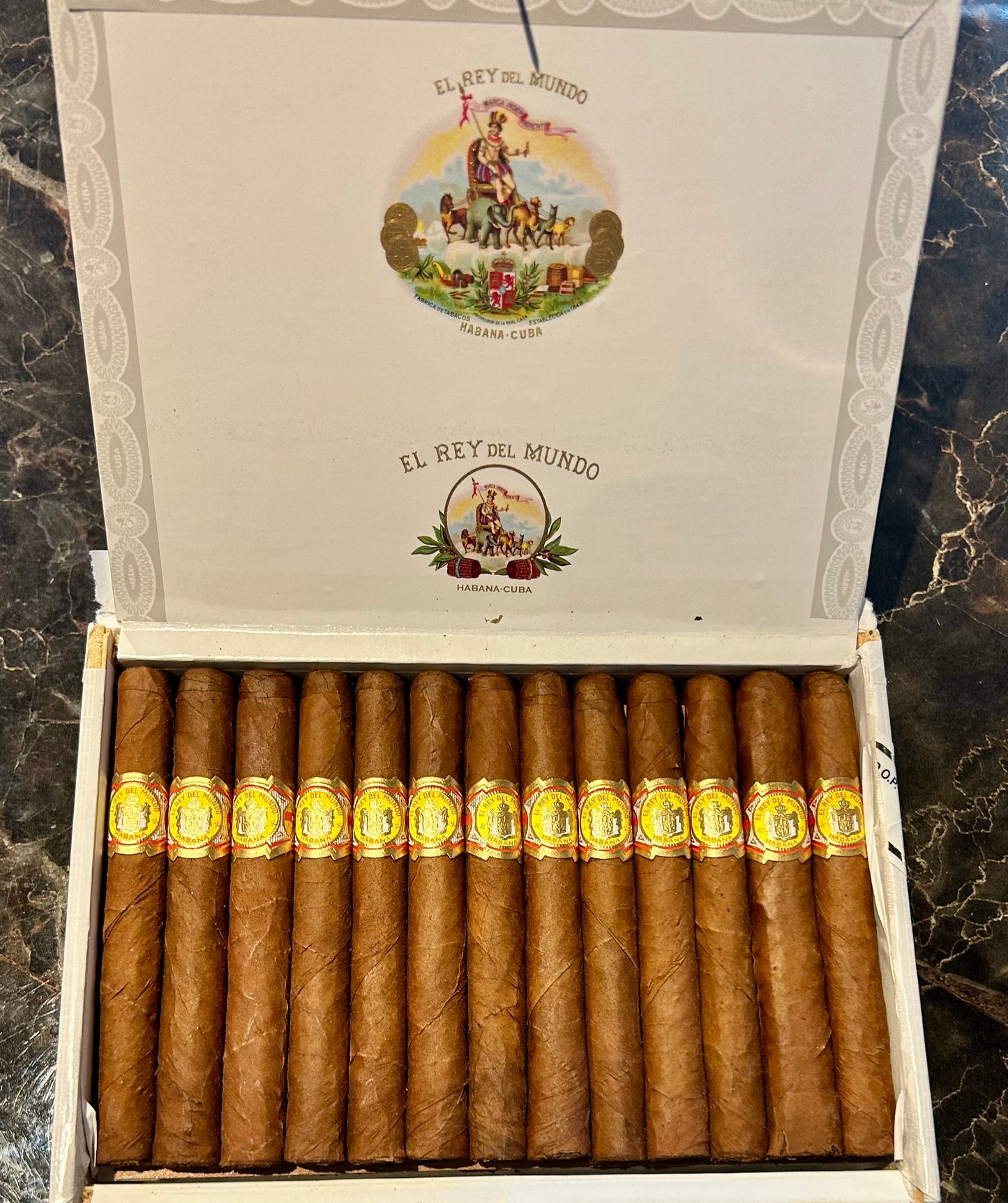 EL REY DEL MUNDO DEMI TASSE ［レイデルムンド　デミタス］